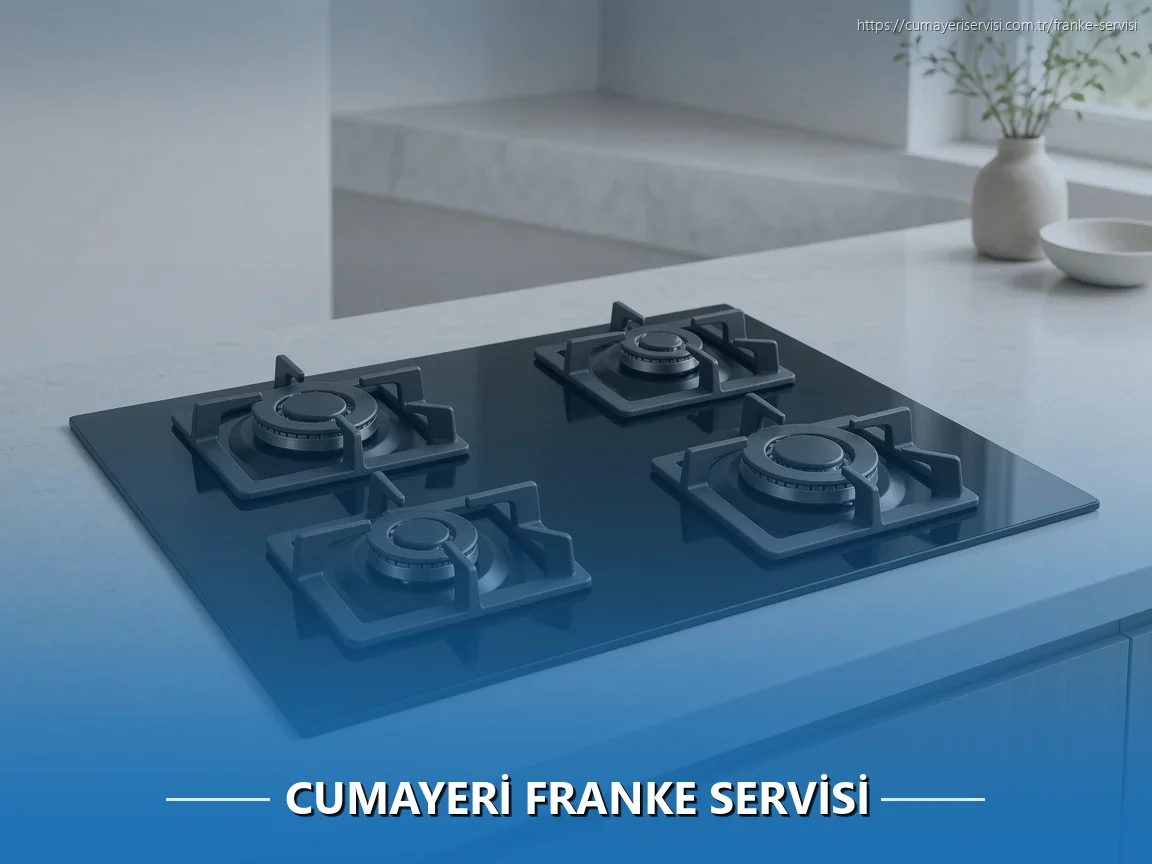 Cumayeri Franke Servisi